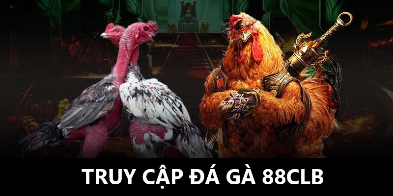 Hướng dẫn các bước truy cập vào sảnh đá gà 88clb