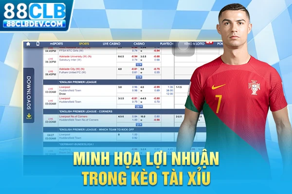 Minh họa lợi nhuận trong kèo Tài Xỉu